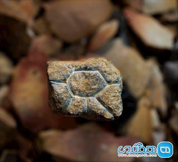 اعلام کشف سنگ نگاره های 20 هزار ساله در جزیره سولاوسی