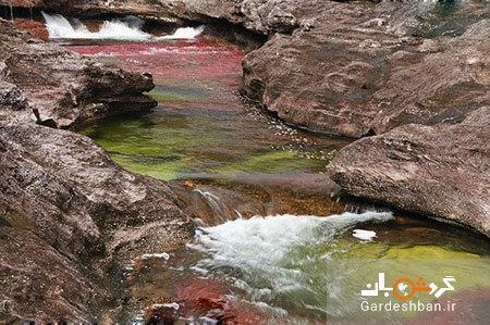 رودخانه رنگین کمان کانو کریستال؛ زیبا ترین رودخانه دنیا، عکس
