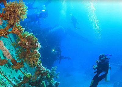 هیجان غواصی در دنیای زیر آب، جزیره کرون در فلیپین