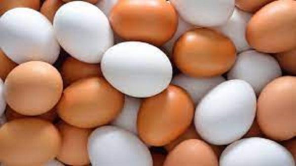 فراوری 9.6 درصد تخم مرغ کشور در آذربایجان شرقی